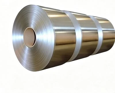 Duplex Stainless Steel Strips & Coils Duplex Stainless Steel Strips & Coils